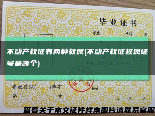不动产权证有两种权属(不动产权证权属证号是哪个)缩略图