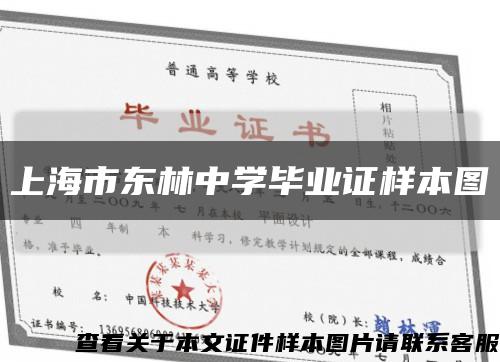 上海市东林中学毕业证样本图缩略图