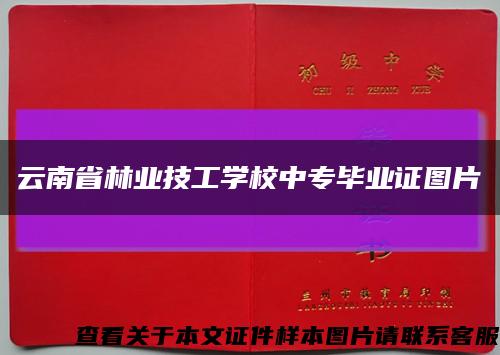云南省林业技工学校中专毕业证图片缩略图