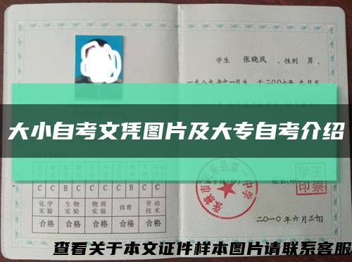 大小自考文凭图片及大专自考介绍缩略图