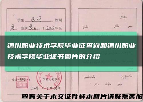 铜川职业技术学院毕业证查询和铜川职业技术学院毕业证书图片的介绍缩略图