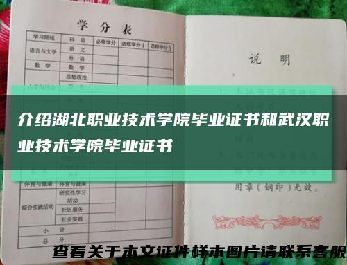 介绍湖北职业技术学院毕业证书和武汉职业技术学院毕业证书缩略图