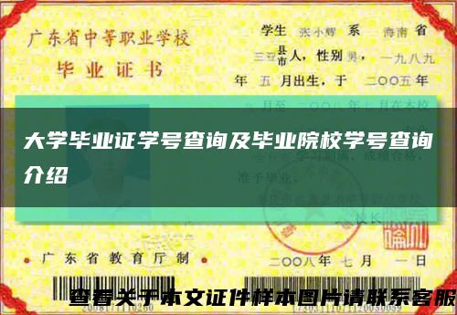 大学毕业证学号查询及毕业院校学号查询介绍缩略图