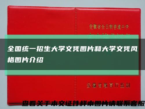 全国统一招生大学文凭图片和大学文凭风格图片介绍缩略图