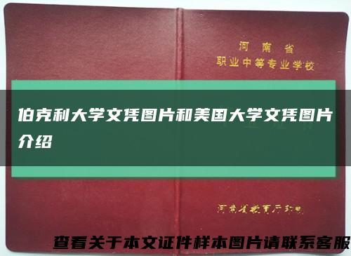 伯克利大学文凭图片和美国大学文凭图片介绍缩略图