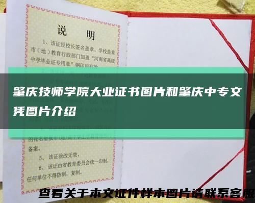 肇庆技师学院大业证书图片和肇庆中专文凭图片介绍缩略图