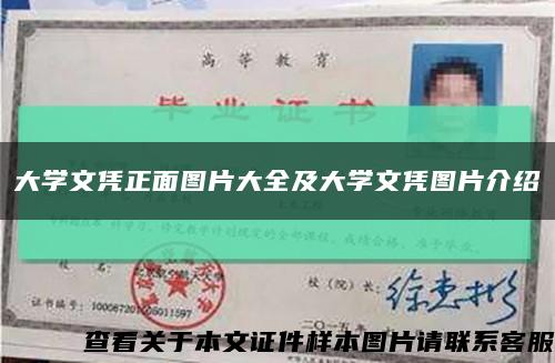 大学文凭正面图片大全及大学文凭图片介绍缩略图