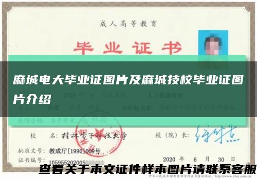 麻城电大毕业证图片及麻城技校毕业证图片介绍缩略图
