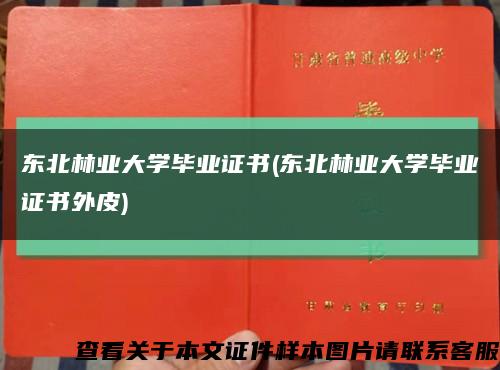 东北林业大学毕业证书(东北林业大学毕业证书外皮)缩略图
