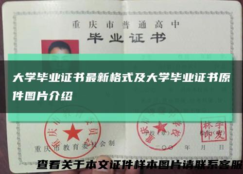 大学毕业证书最新格式及大学毕业证书原件图片介绍缩略图