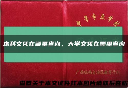 本科文凭在哪里查询，大学文凭在哪里查询缩略图
