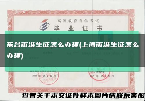 东台市准生证怎么办理(上海市准生证怎么办理)缩略图