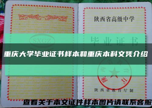 重庆大学毕业证书样本和重庆本科文凭介绍缩略图