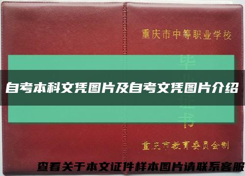 自考本科文凭图片及自考文凭图片介绍缩略图