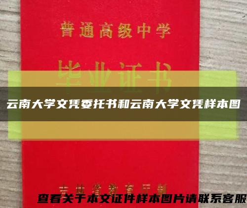 云南大学文凭委托书和云南大学文凭样本图缩略图
