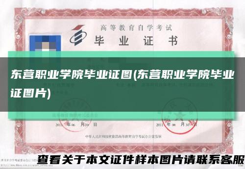 东营职业学院毕业证图(东营职业学院毕业证图片)缩略图