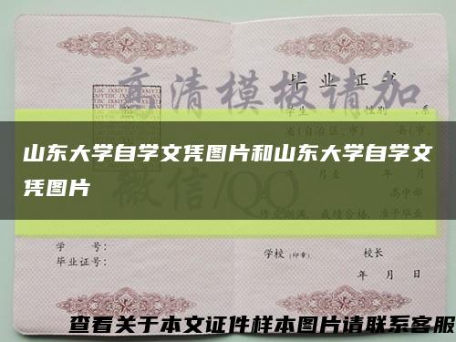 山东大学自学文凭图片和山东大学自学文凭图片缩略图