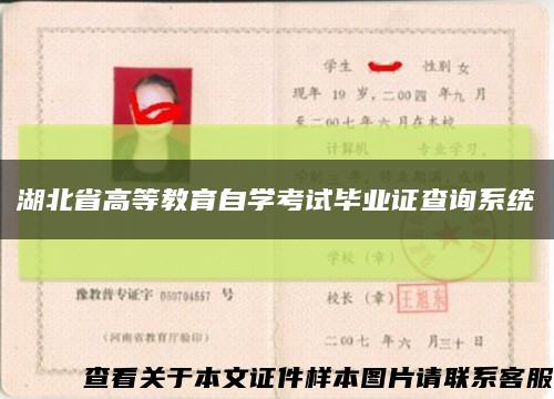 湖北省高等教育自学考试毕业证查询系统缩略图
