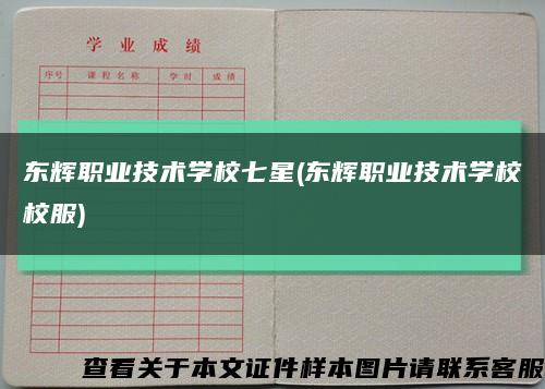 东辉职业技术学校七星(东辉职业技术学校校服)缩略图