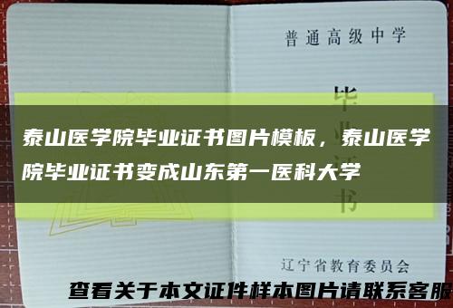 泰山医学院毕业证书图片模板，泰山医学院毕业证书变成山东第一医科大学缩略图