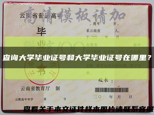 查询大学毕业证号和大学毕业证号在哪里？缩略图