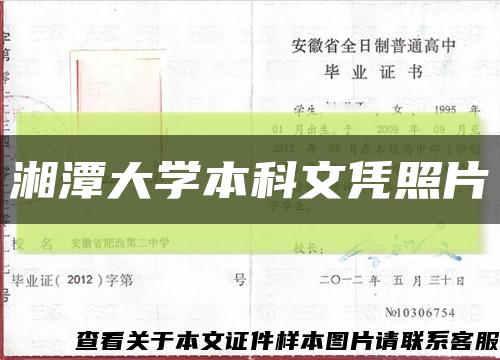 湘潭大学本科文凭照片缩略图