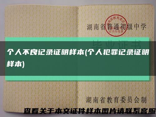 个人不良记录证明样本(个人犯罪记录证明样本)缩略图