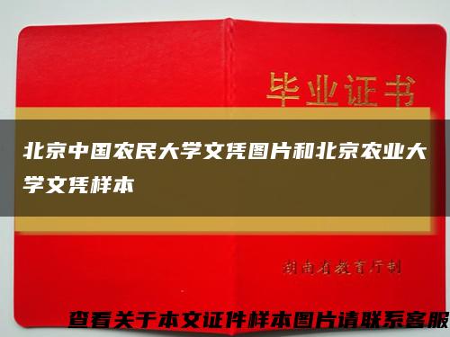北京中国农民大学文凭图片和北京农业大学文凭样本缩略图