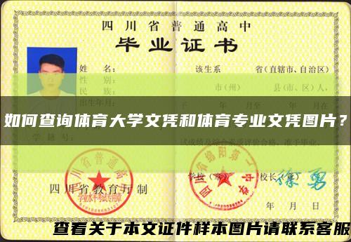 如何查询体育大学文凭和体育专业文凭图片？缩略图