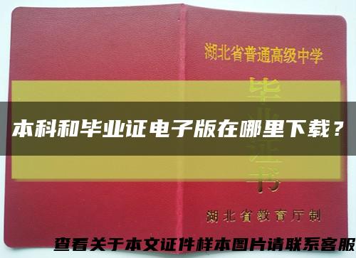 本科和毕业证电子版在哪里下载？缩略图
