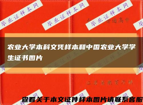 农业大学本科文凭样本和中国农业大学学生证书图片缩略图