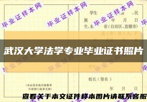 武汉大学法学专业毕业证书照片缩略图
