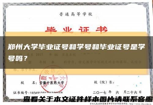 郑州大学毕业证号和学号和毕业证号是学号吗？缩略图