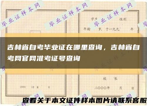 吉林省自考毕业证在哪里查询，吉林省自考网官网准考证号查询缩略图