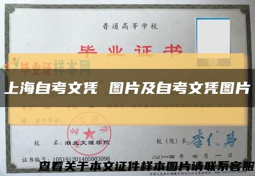 上海自考文凭 图片及自考文凭图片缩略图