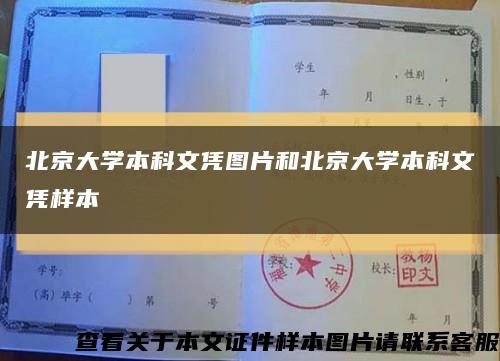 北京大学本科文凭图片和北京大学本科文凭样本缩略图