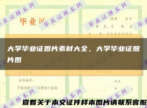 大学毕业证图片素材大全，大学毕业证照片图缩略图