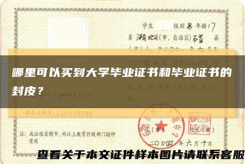 哪里可以买到大学毕业证书和毕业证书的封皮？缩略图