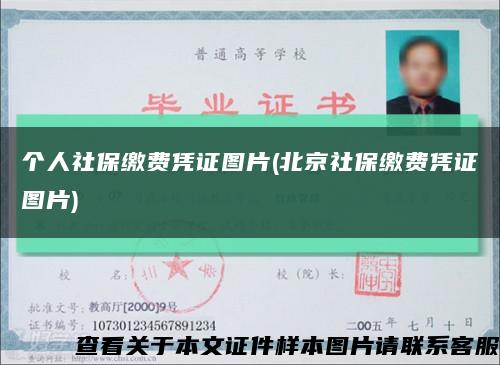 个人社保缴费凭证图片(北京社保缴费凭证图片)缩略图
