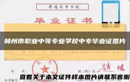林州市职业中等专业学校中专毕业证图片缩略图