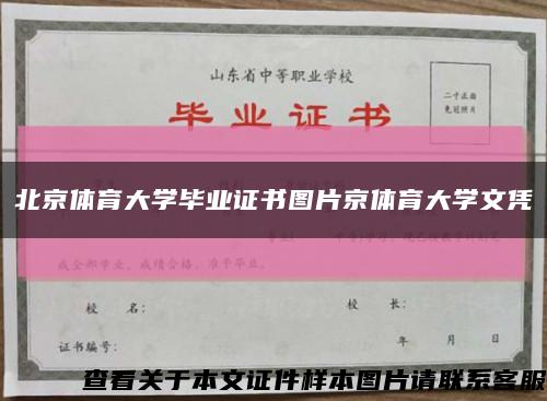 北京体育大学毕业证书图片京体育大学文凭缩略图