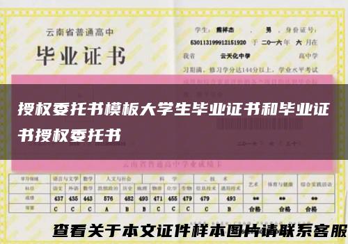 授权委托书模板大学生毕业证书和毕业证书授权委托书缩略图