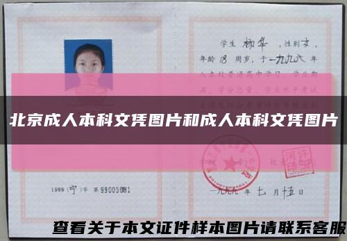 北京成人本科文凭图片和成人本科文凭图片缩略图