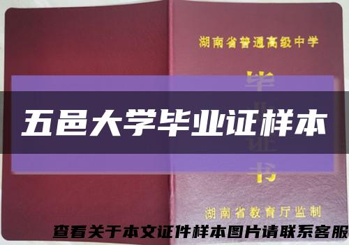 五邑大学毕业证样本缩略图