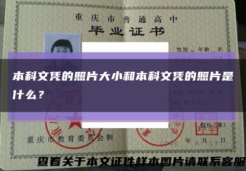 本科文凭的照片大小和本科文凭的照片是什么？缩略图