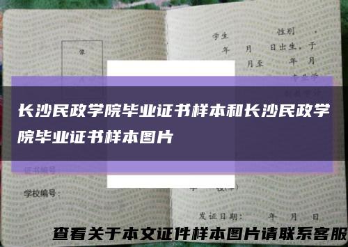 长沙民政学院毕业证书样本和长沙民政学院毕业证书样本图片缩略图