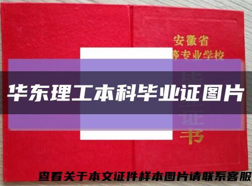 华东理工本科毕业证图片缩略图