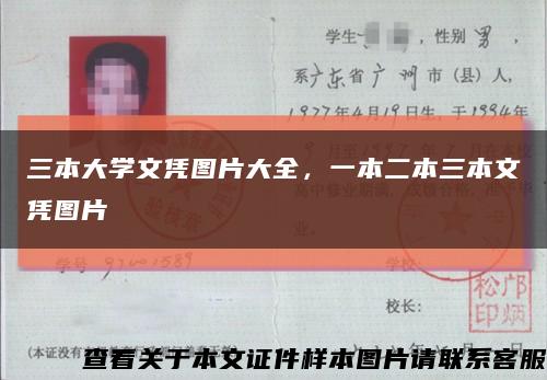 三本大学文凭图片大全，一本二本三本文凭图片缩略图