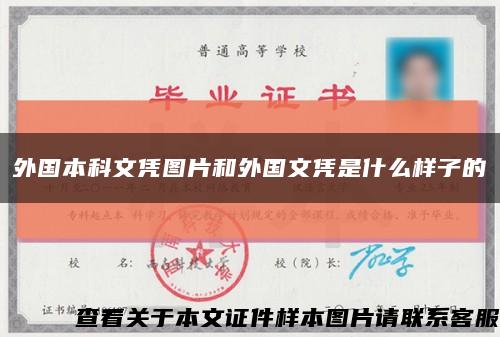 外国本科文凭图片和外国文凭是什么样子的缩略图