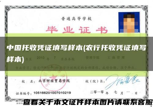 中国托收凭证填写样本(农行托收凭证填写样本)缩略图